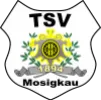 TSV 1894 Mosigkau II (N)